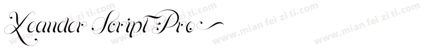 Leander Script Pro字体转换